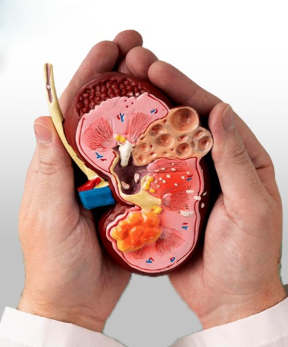 Dr-Lok-Prakash-1 (1)